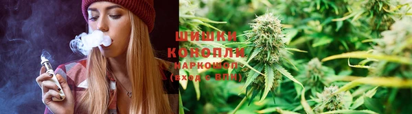 скорость Лиски