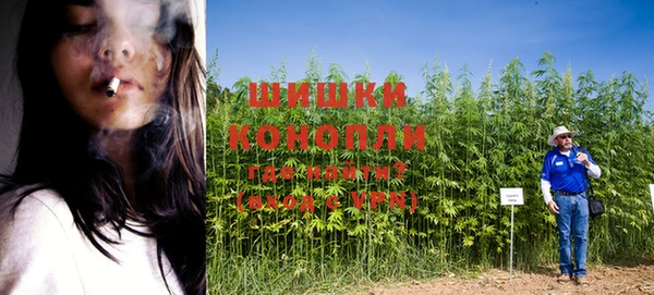 скорость Лиски
