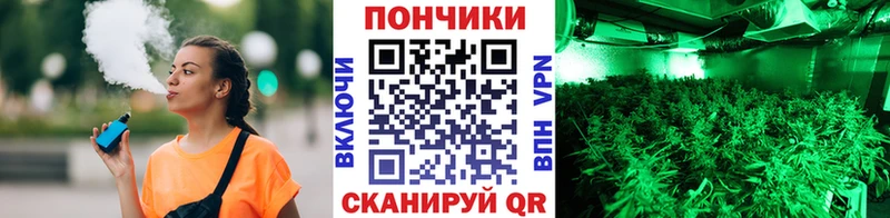 Купить Агидель Марихуана Bruce Banner